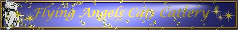 flying angels