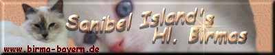 Banner Sanibelcats 1