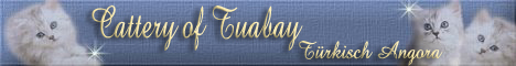 tuabay